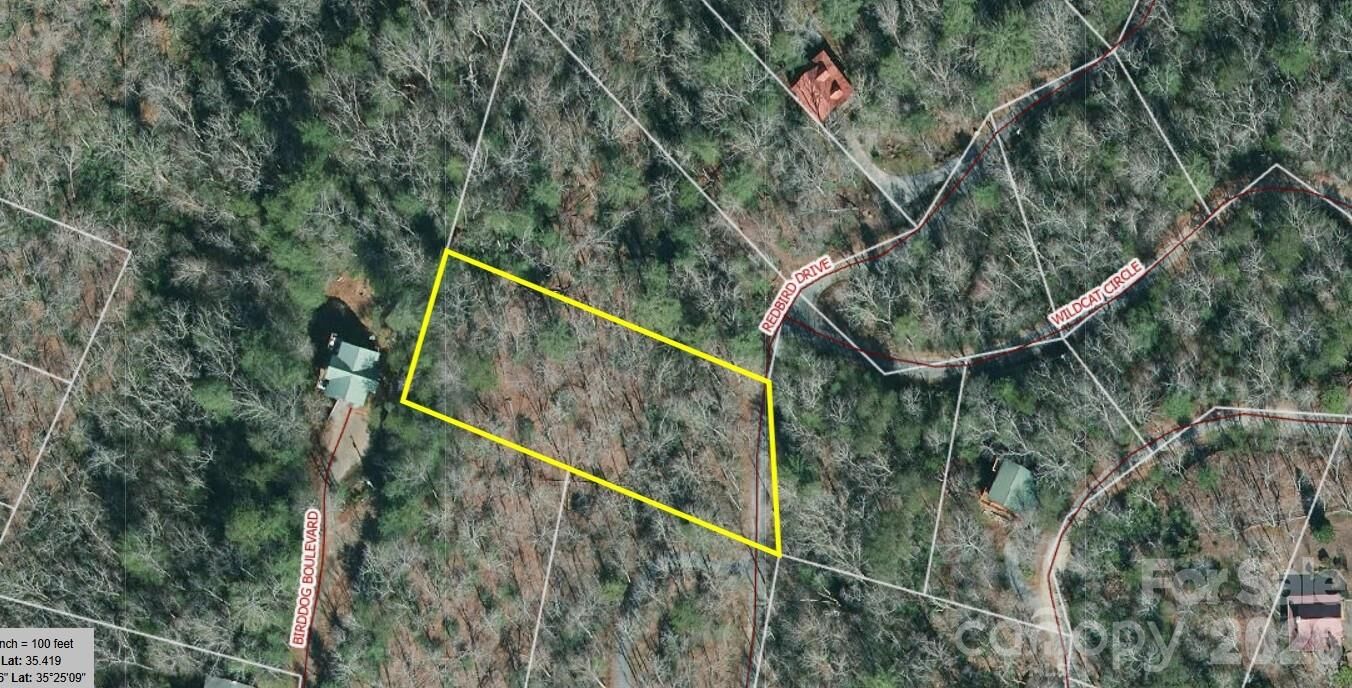 Property Photo:  177 Redbird Drive  NC 28746 