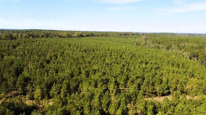 Property Photo:  0000 US Highway 190 E  TX 77351 