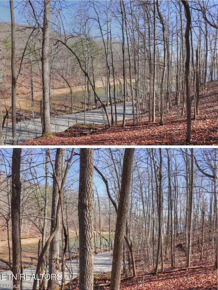 Property Photo:  #12 Emerald Pointe Circle Circle  TN 37854 