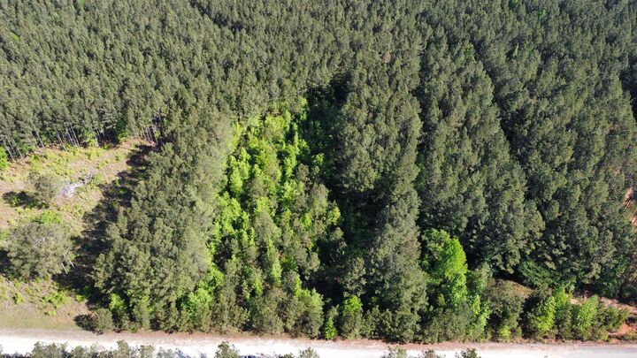 Property Photo:  104 Lisa Woods Lane  GA 31024-0000 