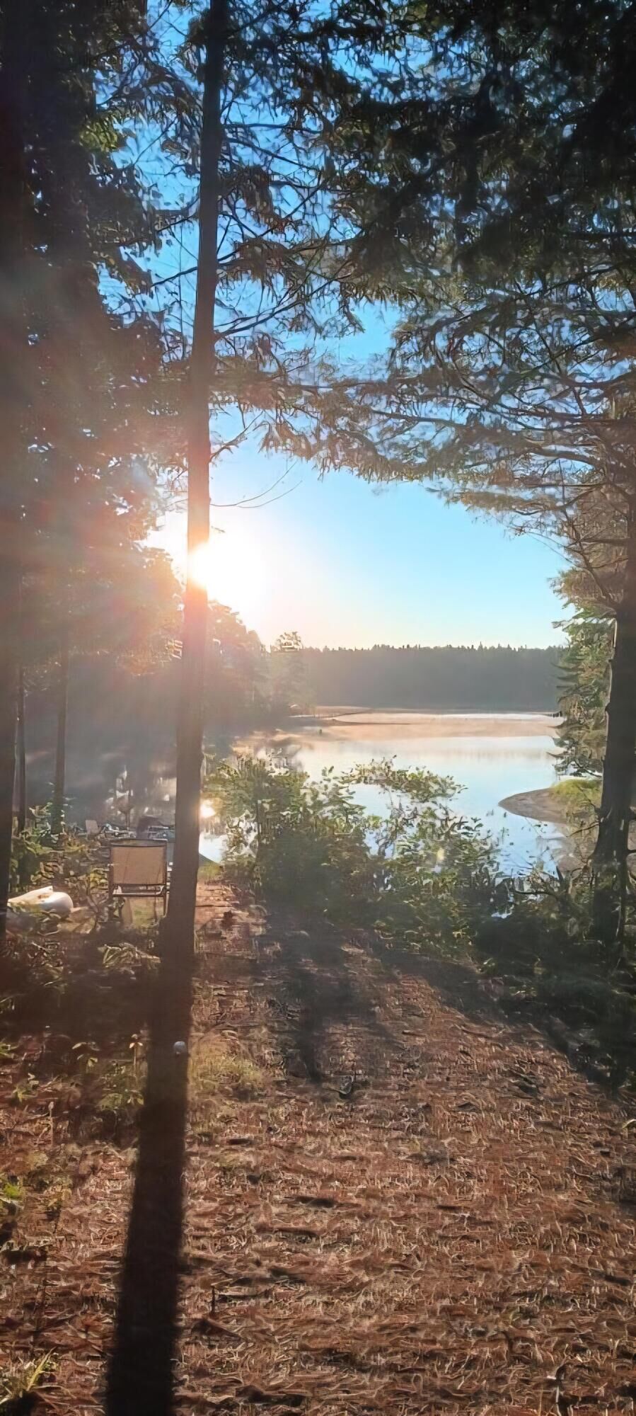 Property Photo:  217 Frost Mill Road  ME 04605 