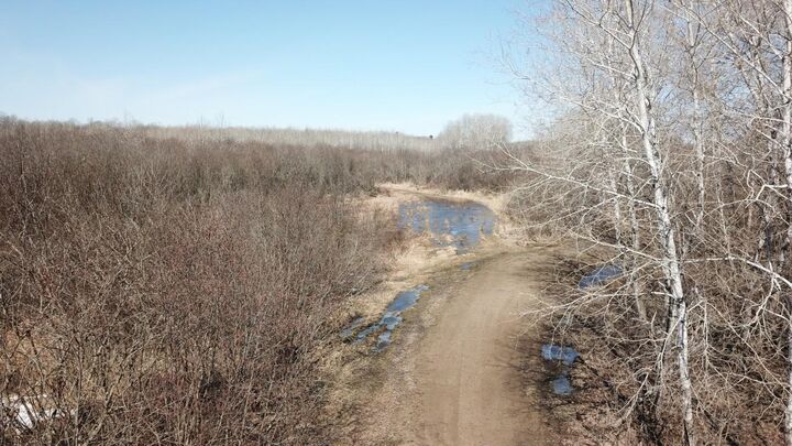 Property Photo:  Tbd Basswood Drive  MN 56443 