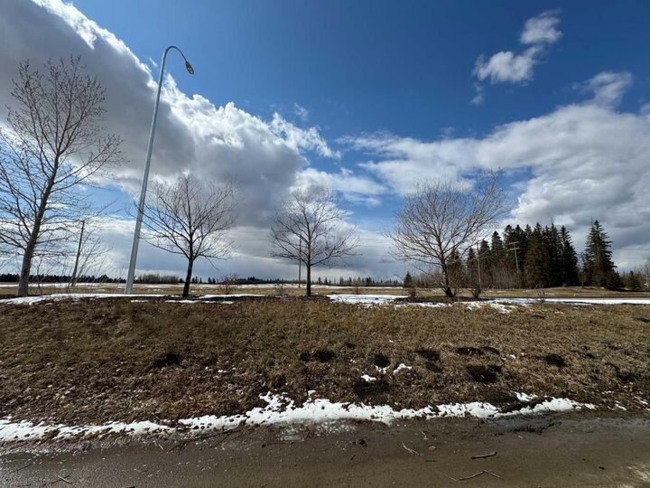 Property Photo:  52 Emmett Crescent  AB T4P 3G8 