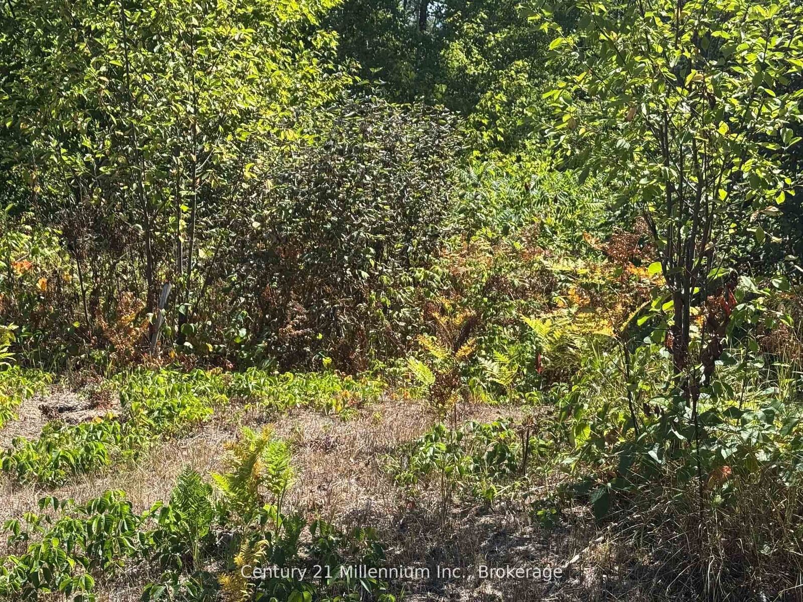 Photo de la propriété:  931 River Road E  ON L9Z 2P4 