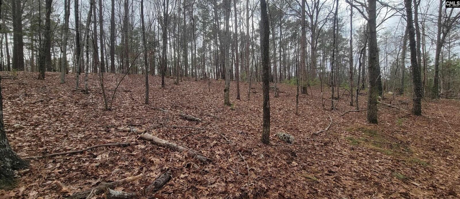 Property Photo:  2458 Chapin  SC 29036 