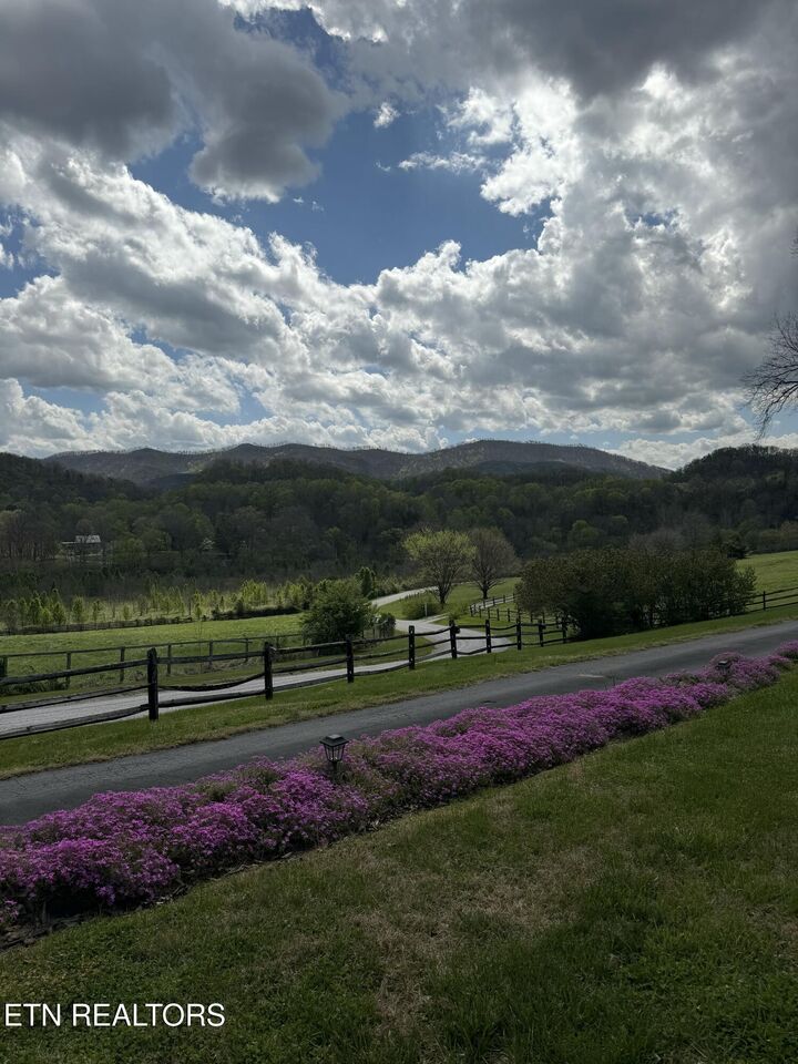 Property Photo:  918 Country Lane  TN 37886 