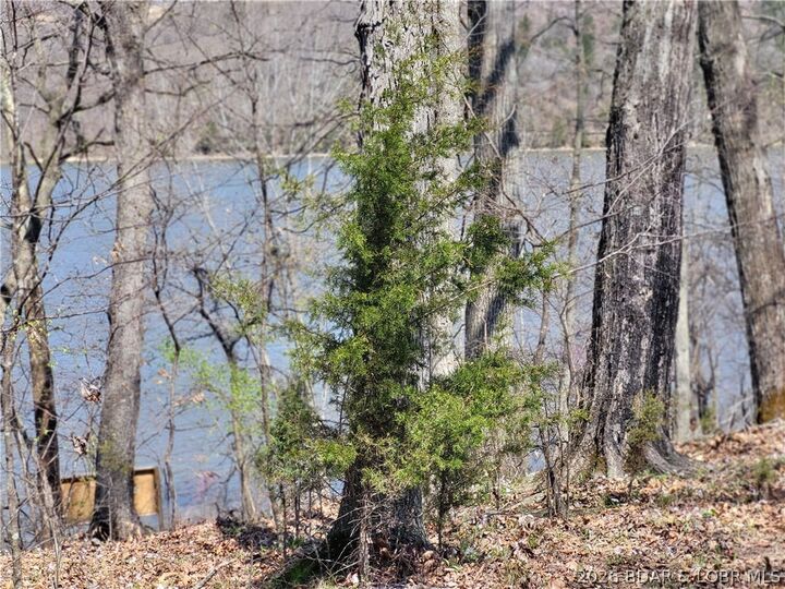 Property Photo:  Emerald Hills Drive Phase 4A Lot 2  MO 65326 