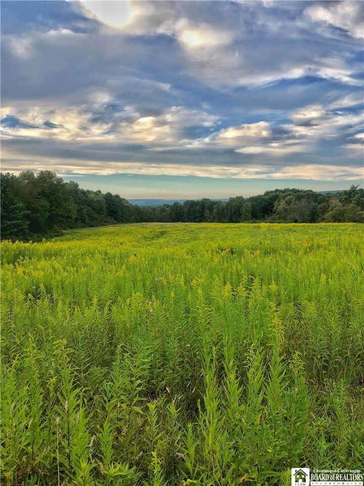 Property Photo:  1004 Wigren Road  NY 14738 