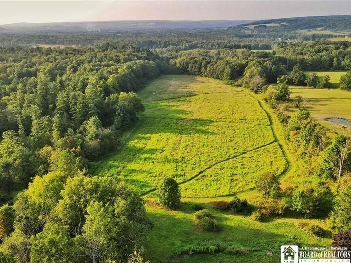 Property Photo:  1004 Wigren Road  NY 14738 