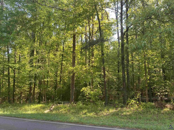 Property Photo:  364 Turnerwoods Road  GA 31032 