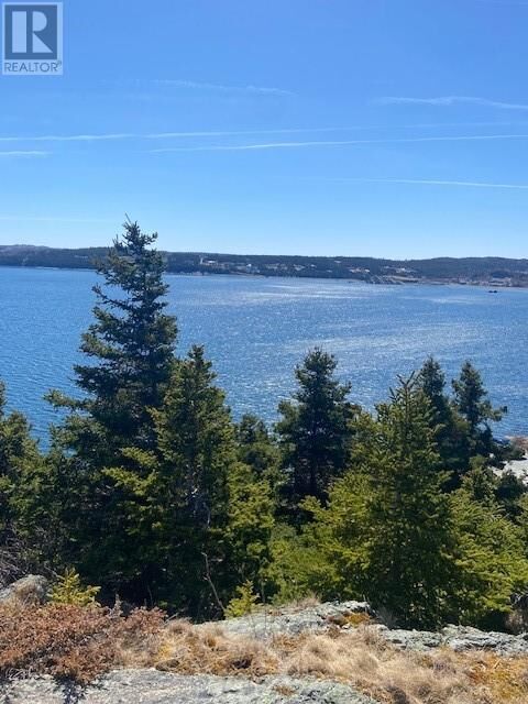 Property Photo:  177B Coley's Point South Road  NL A0A 1G0 