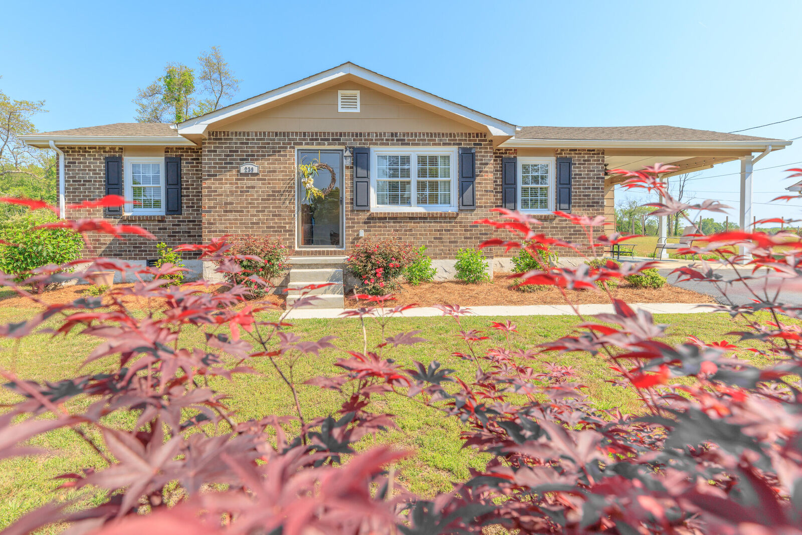 Property Photo:  239 Langley Drive  GA 30728 