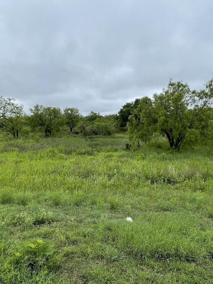 Property Photo:  501 Lake View Heroes Drive  TX 76903 
