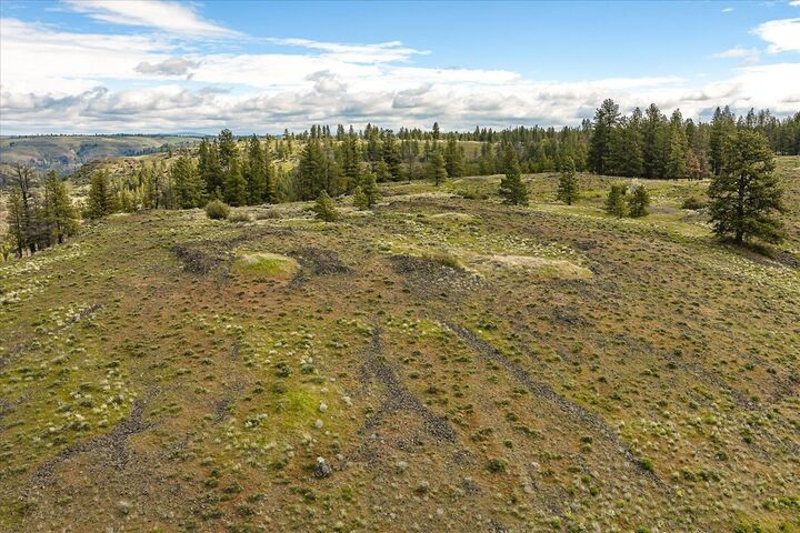 Property Photo:  Tract 231 Hawk Creek  WA 99122 