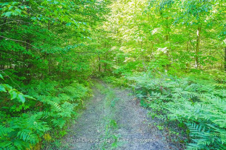 Property Photo:  Lot 4 Sixth Street  ON N0H 2G0 