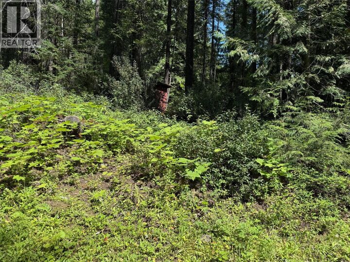 Property Photo:  4069 East Barriere Lake Road  BC V0E 1E0 