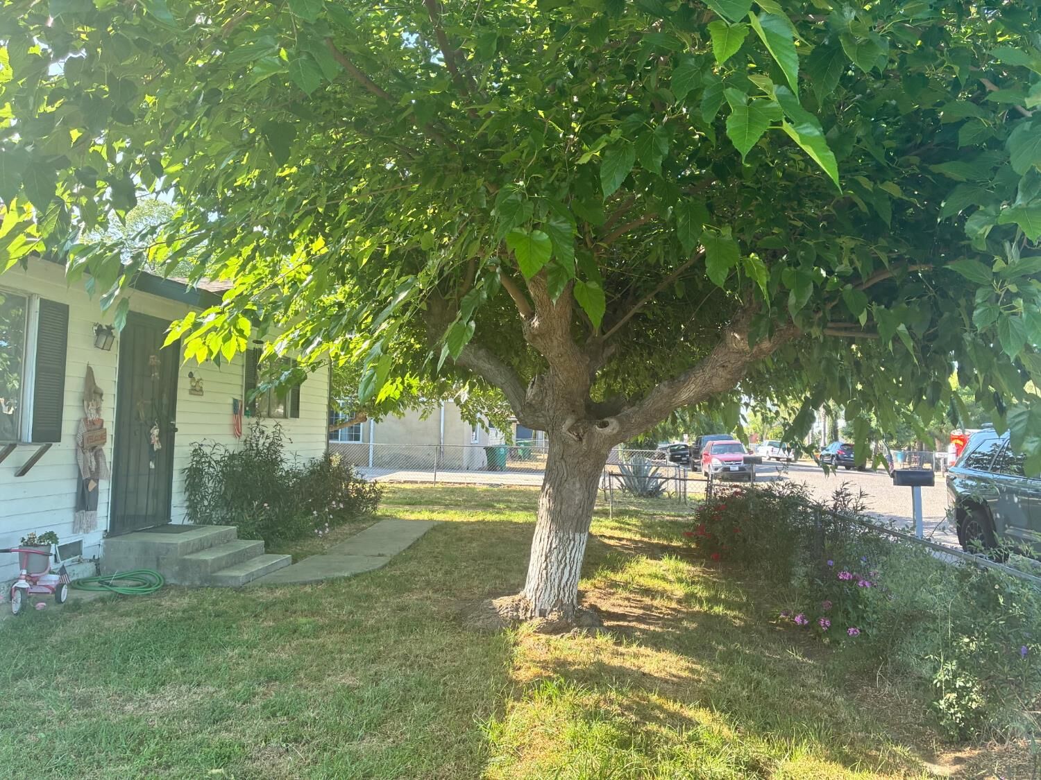 Property Photo:  130 11th Street  CA 93646 