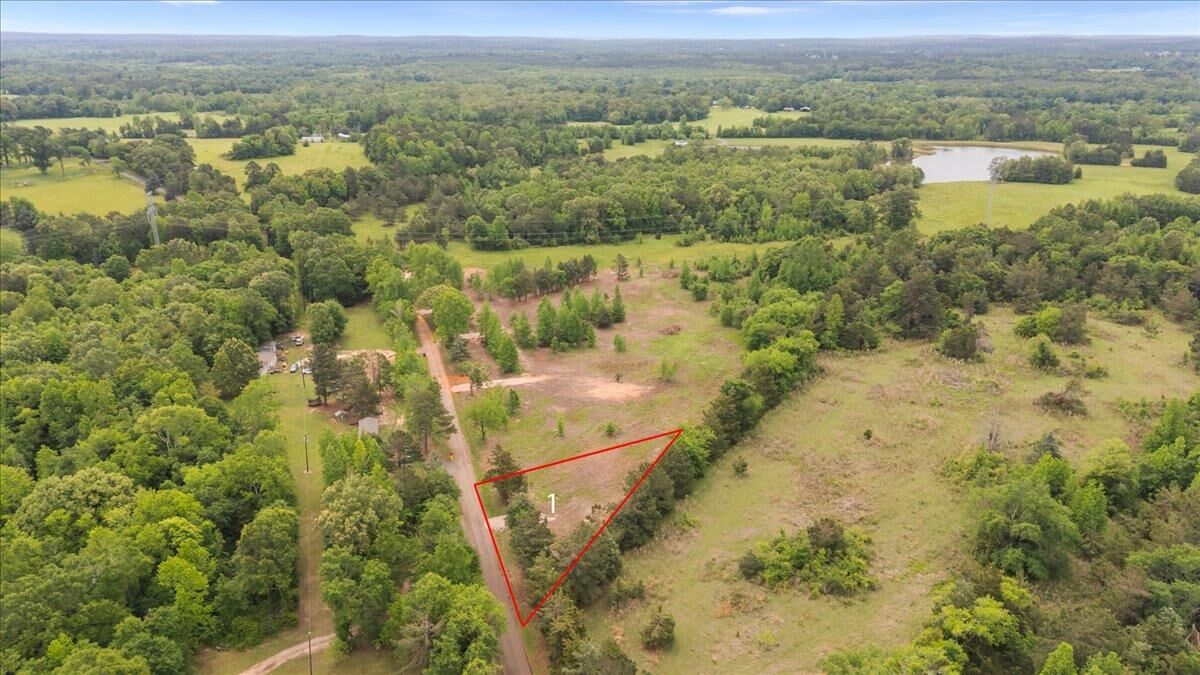 Property Photo:  Lot 1 Cr 1552  TX 75669 