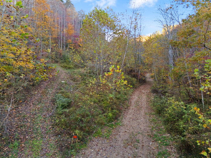 Property Photo:  9992 S Ky-11  KY 40962 