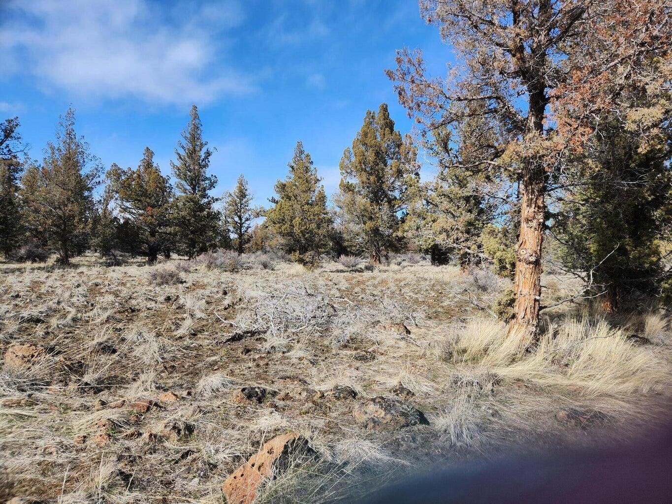 Property Photo:  300 SW Geneva Road  OR 97734 