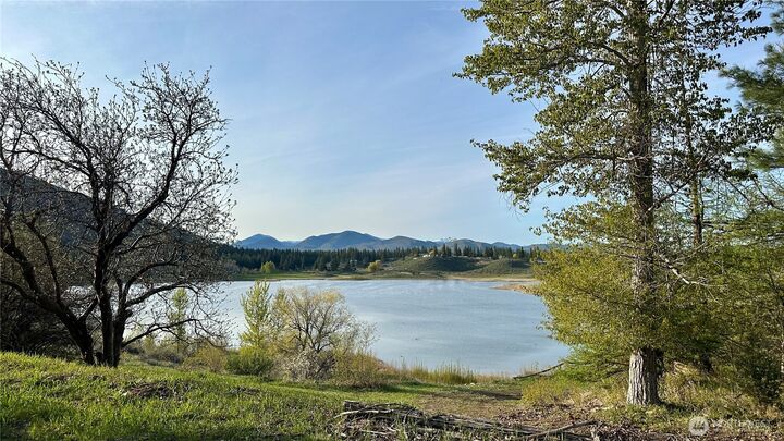 Property Photo: 132 Twin Lakes Road WA 98862