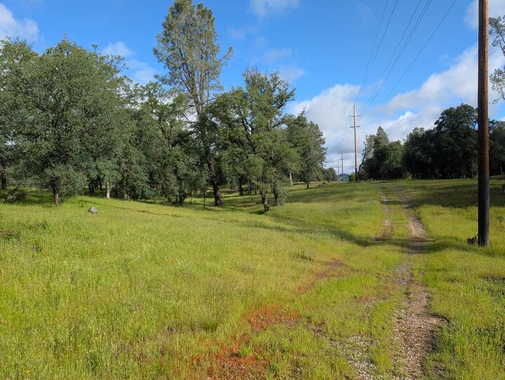 Property Photo:  Manzanoaks Drive  CA 96003 