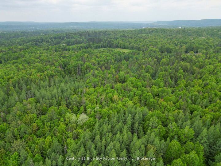 471 Weiler Line — photo 1