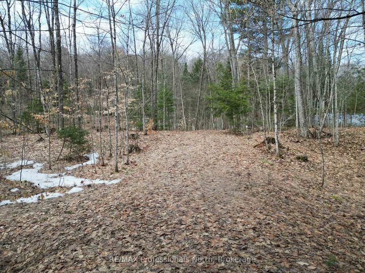 Property Photo: 1231 Big Hawk Lake Road ON K0M 1J2