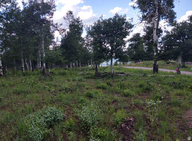 Property Photo:  14 E See Directions 14 E  UT 84629 