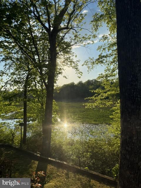 Property Photo:  379 Wood Landing Road  VA 22405 