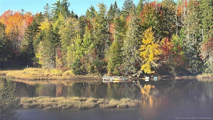 -Lot A Portage River Road — photo 1