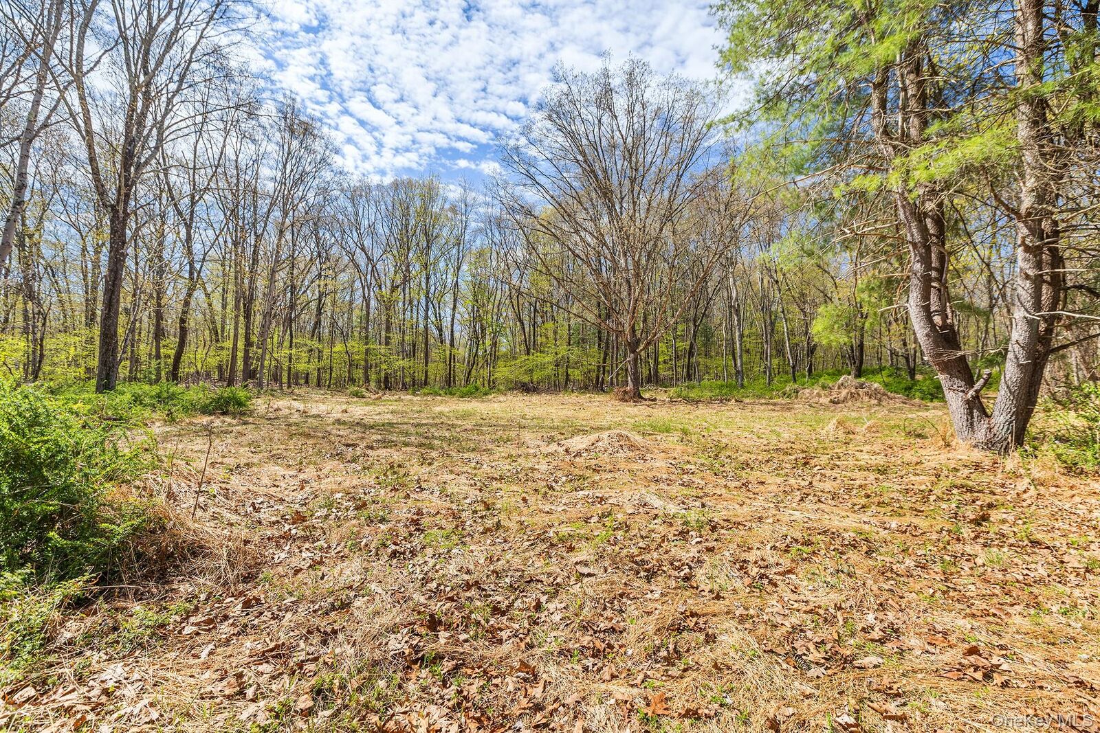 Property Photo:  224 Union Center Road  NY 12487 