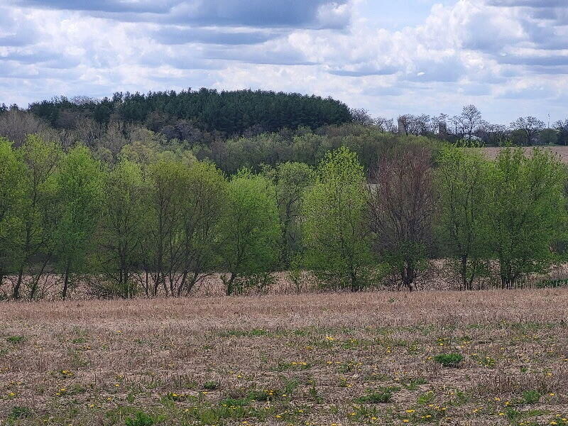 Property Photo: Lot 5 Swoboda Rd WI 53120