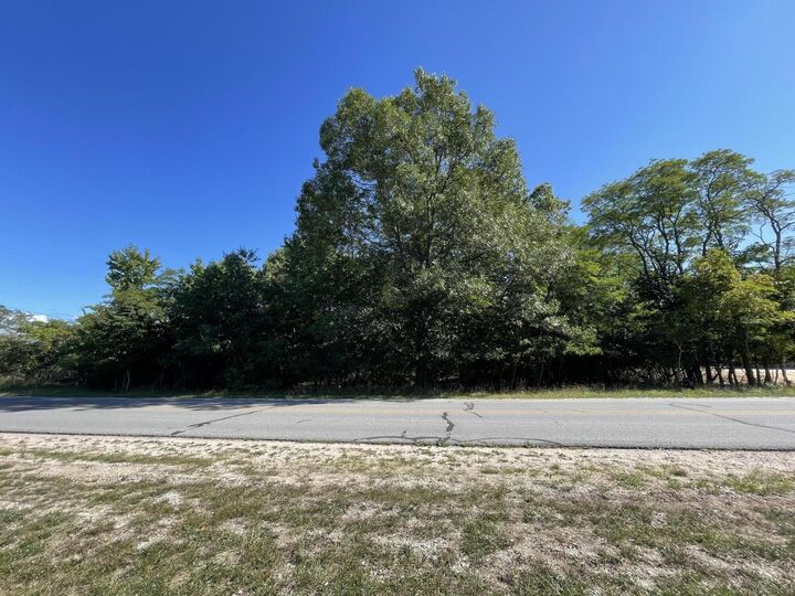 Property Photo:  Lots5thru8 Monroe Street  MI 49660 