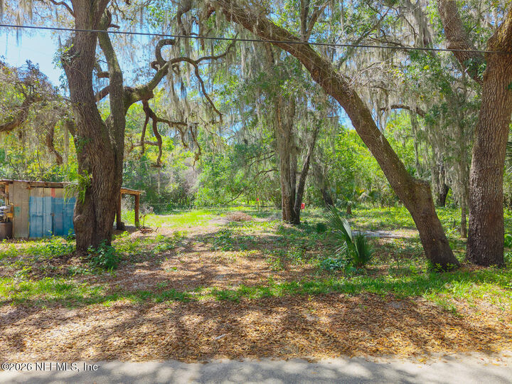 Property Photo:  817 Randolph Street  FL 32112 