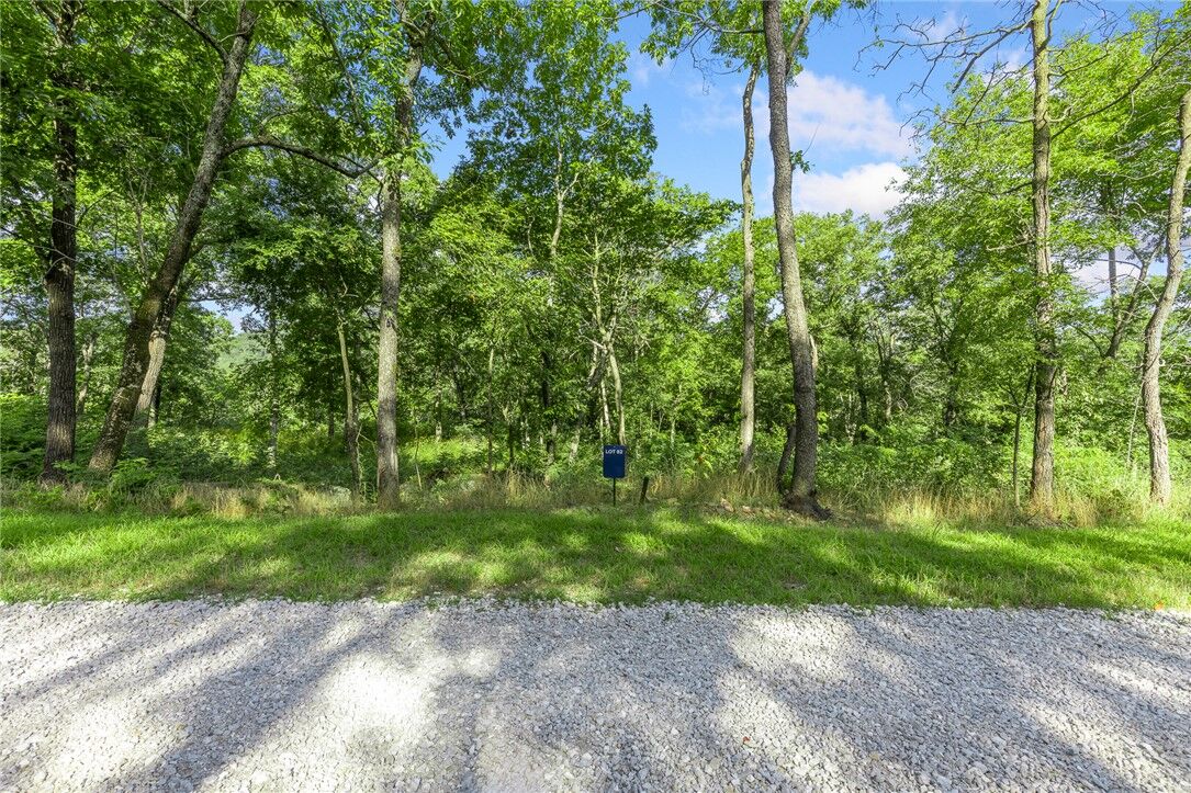 Property Photo:  Lot 82 Restore Ridge  AR 72601 