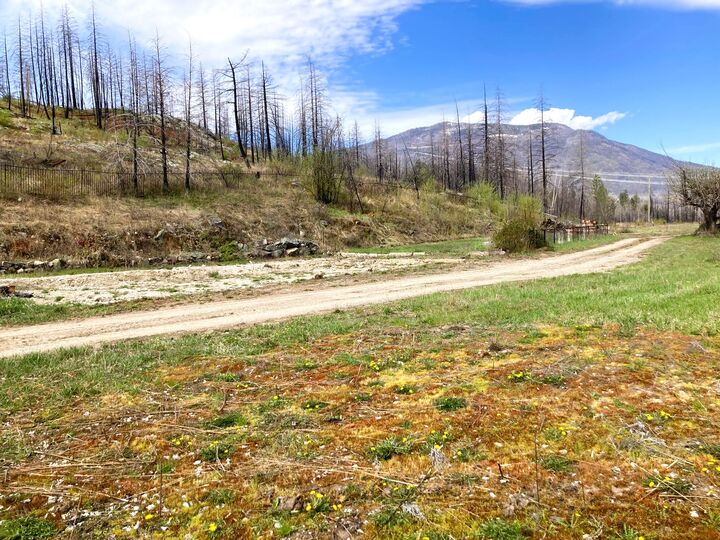 Photo de la propriété:  1449 Holding Road  BC V0E 1M2 