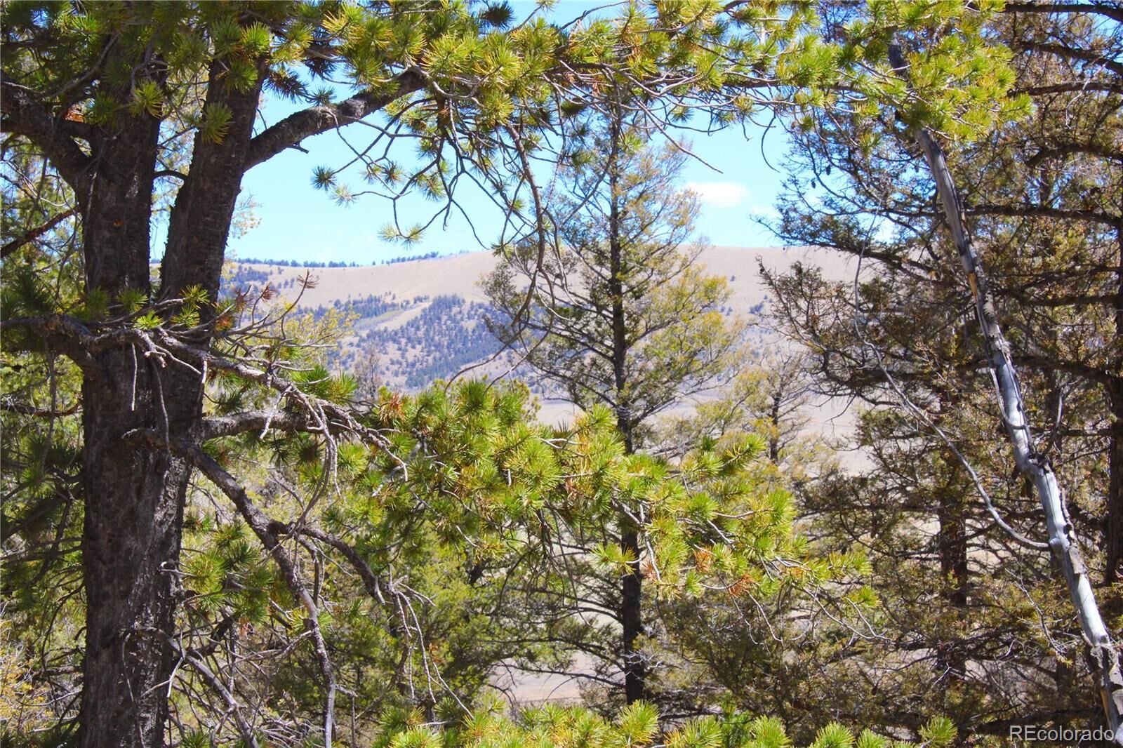 Property Photo:  2882 Middle Fork Vista  CO 80440 
