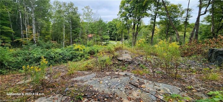 Property Photo: 169 Northern Avenue ON K0M 1A0