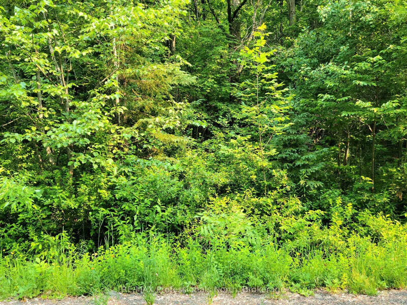 Property Photo: 26 Mount Vernon Trail 19 ON P1H 1E3