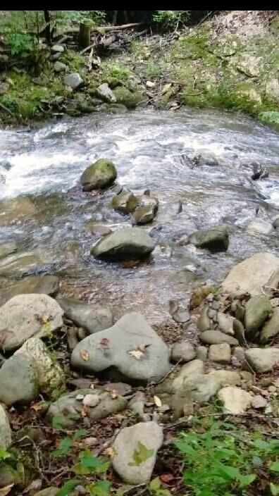 Property Photo:  0 Holly Creek Cool Springs Road  GA 30705 