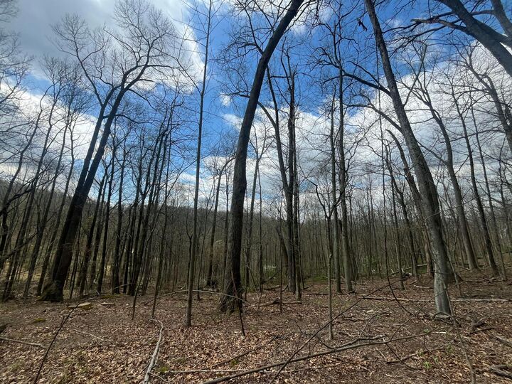 Property Photo:  14040 Pinewood Trail NE Road  OH 43055 