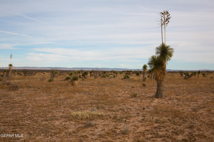 Property Photo: Pn 76133 Pn 76133 Tbd 37 Sec 1 Psl Suns TX 79851