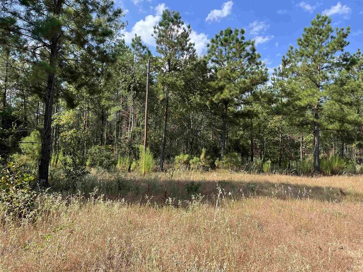 Property Photo:  Tbd Trinity Rd  TX 75650-000 