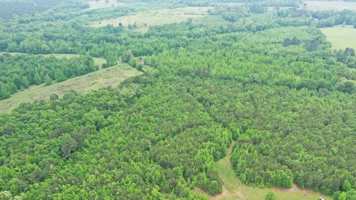 Property Photo:  0000 Fm 1766 Tract 2  TX 75568 