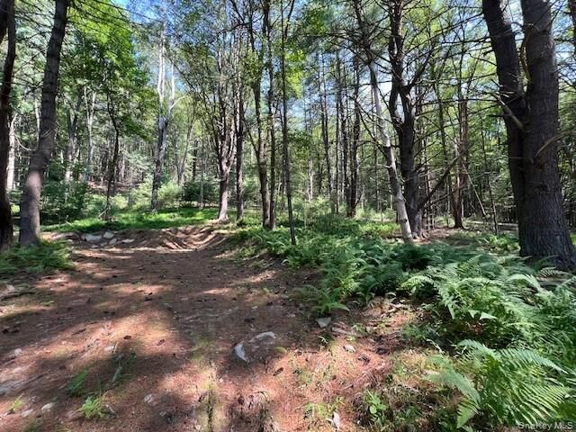 Property Photo:  Lot 47.3 High Road  NY 12737 