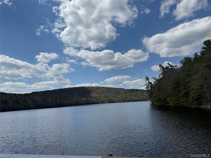 Property Photo: 55 Old Plank Road NY 12780