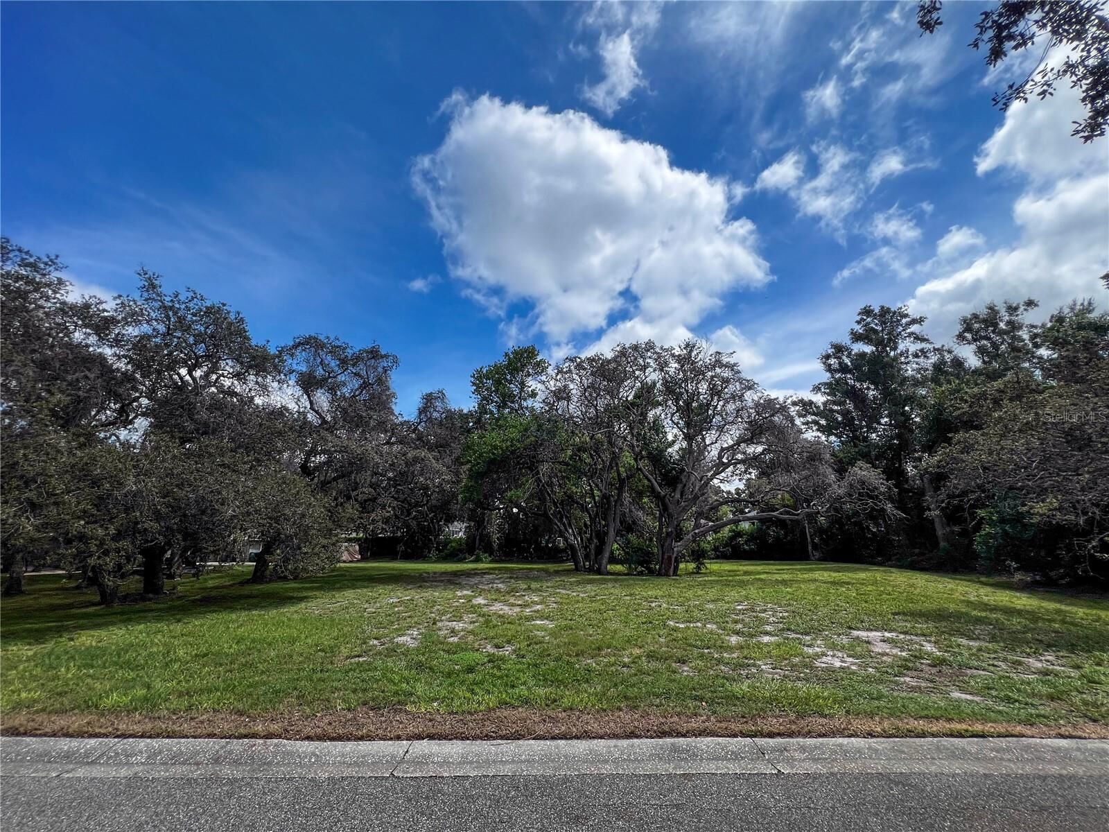 Property Photo:  0 Tampa Road  FL 34684 