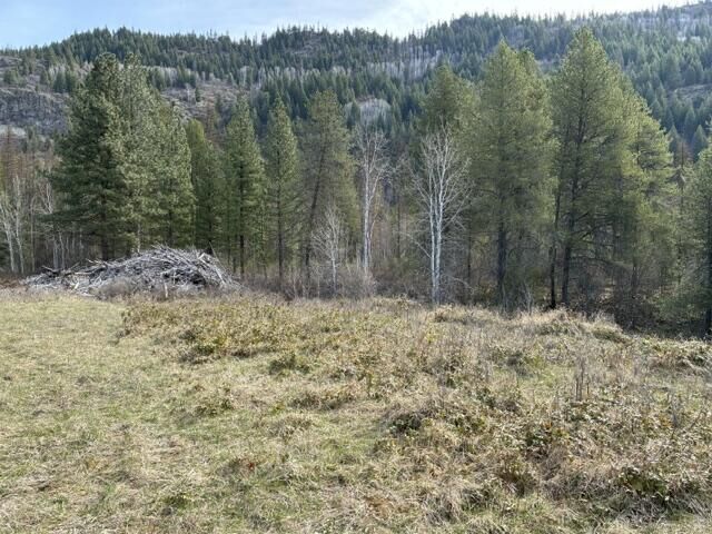 Property Photo:  Tbd N Stone Mountain Way  WA 99114 