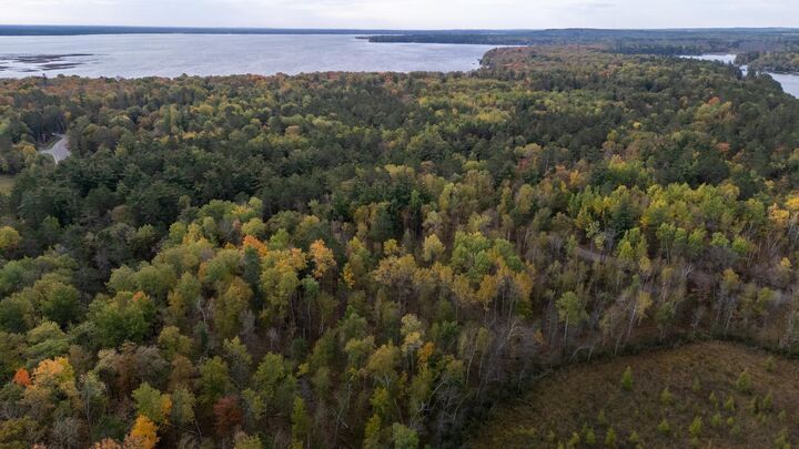 Property Photo:  1380 Little John Road  MN 56468 
